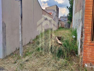 Terreno para Venda, em Rio Claro, bairro Cidade Nova